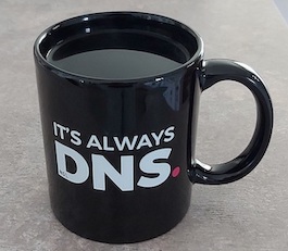 DNS mug
