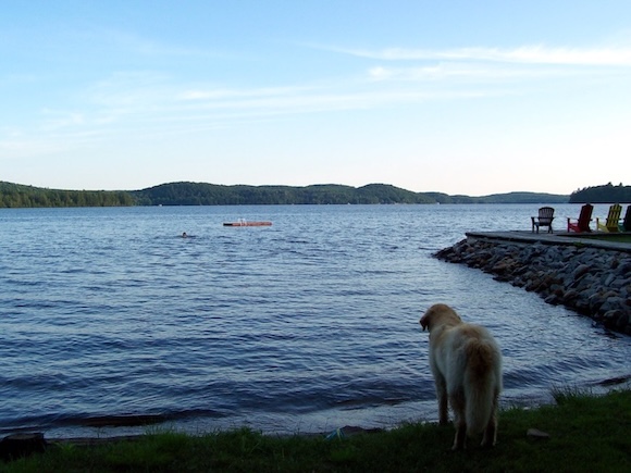 Dwight Bay